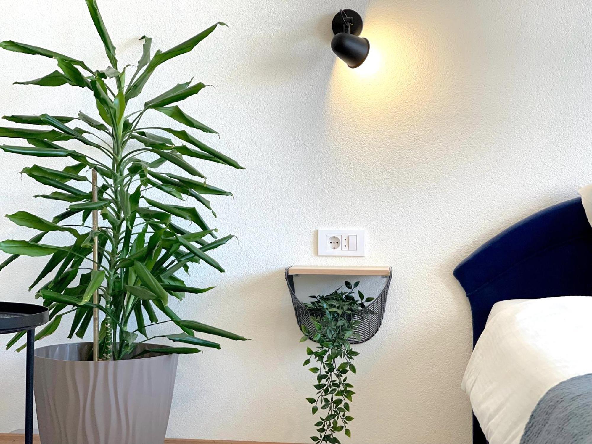 Makedonka Apartments Ohrid Ngoại thất bức ảnh